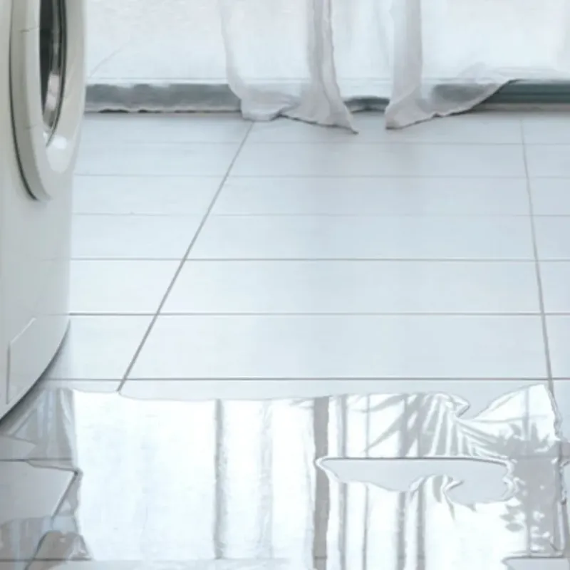Appliance Leak Cleanup in Truckee, CA